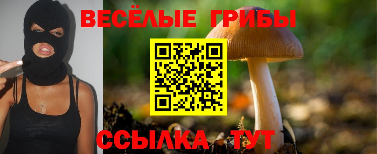 Кашира  Галлюциногенные грибы Magic Shrooms  Вход с VPN  Псилоцибиновые грибы MAGIC MUSHROOMS 